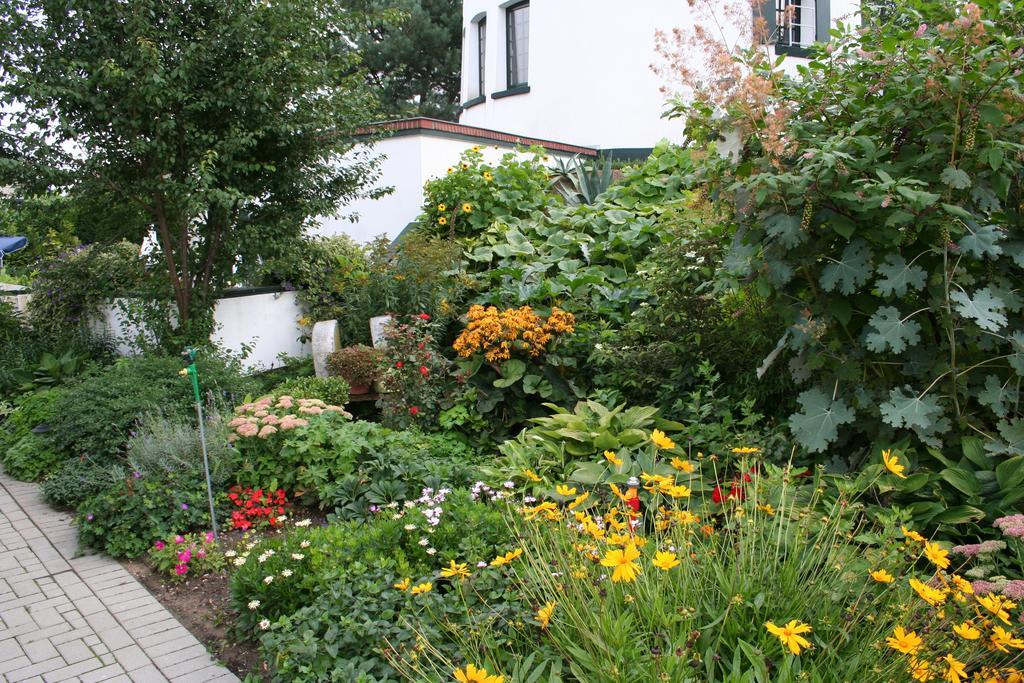 Bed and Breakfast De Witte Molen Kranenburg Kranenburg  Exteriér fotografie